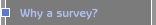 Why a survey?